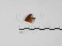 雲芝藏品圖，第1張