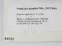 雲芝藏品圖，第2張