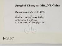 雲芝藏品圖，第2張