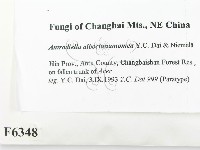 登錄號:F0006348藏品圖，第2張