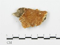 登錄號:F0006348藏品圖，第1張