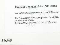 登錄號:F0006349藏品圖，第2張