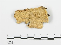 登錄號:F0006349藏品圖，第1張