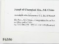 登錄號:F0006350藏品圖，第2張