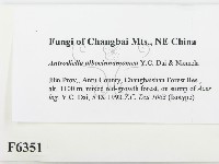 登錄號:F0006351藏品圖，第2張