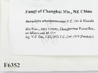 登錄號:F0006352藏品圖，第2張