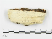 登錄號:F0006352藏品圖，第3張