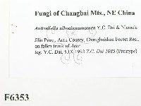 登錄號:F0006353藏品圖，第2張