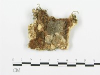 登錄號:F0006353藏品圖，第3張