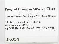 登錄號:F0006354藏品圖，第2張