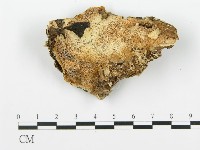 登錄號:F0006354藏品圖，第1張