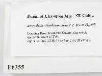 登錄號:F0006355藏品圖，第2張