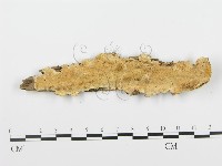 登錄號:F0006355藏品圖，第1張