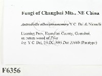 登錄號:F0006356藏品圖，第2張