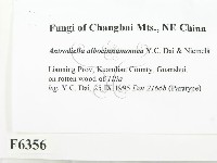 登錄號:F0006356藏品圖，第3張