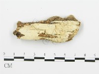 登錄號:F0006356藏品圖，第4張