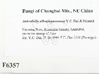 登錄號:F0006357藏品圖，第2張