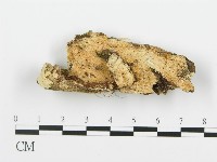 登錄號:F0006357藏品圖，第1張