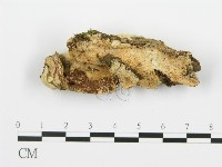 登錄號:F0006357藏品圖，第3張