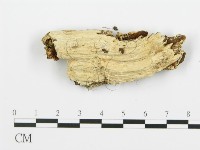 登錄號:F0006357藏品圖，第4張