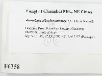 登錄號:F0006358藏品圖，第2張