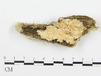 登錄號:F0006358藏品圖，第1張