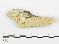 登錄號:F0006358藏品圖，第3張