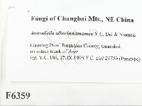 登錄號:F0006359藏品圖，第2張