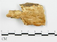 登錄號:F0006359藏品圖，第1張