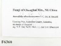 登錄號:F0006360藏品圖，第2張