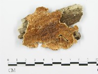 登錄號:F0006360藏品圖，第1張