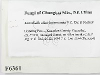 登錄號:F0006361藏品圖，第2張