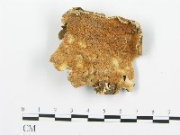 登錄號:F0006361藏品圖，第1張