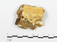 登錄號:F0006361藏品圖，第3張