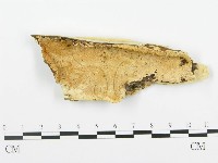 登錄號:F0006363藏品圖，第1張