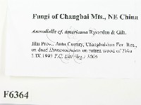 登錄號:F0006364藏品圖，第2張