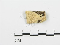 登錄號:F0006364藏品圖，第1張