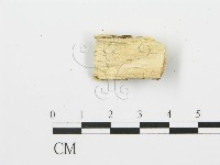 登錄號:F0006364藏品圖，第3張