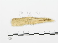 登錄號:F0006365藏品圖，第3張