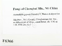 登錄號:F0006366藏品圖，第2張