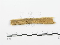 登錄號:F0006366藏品圖，第1張