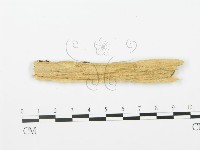 登錄號:F0006366藏品圖，第3張