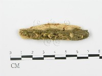 登錄號:F0006367藏品圖，第1張