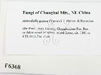 登錄號:F0006368藏品圖，第2張