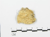 登錄號:F0006368藏品圖，第1張