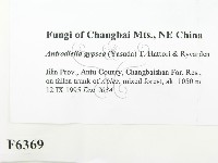 登錄號:F0006369藏品圖，第2張