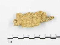 登錄號:F0006369藏品圖，第1張