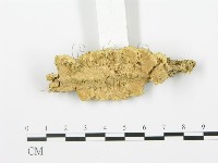 登錄號:F0006369藏品圖，第3張