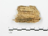 登錄號:F0006370藏品圖，第3張