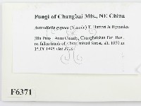 登錄號:F0006371藏品圖，第2張